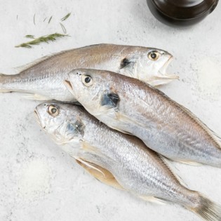 국내산 제수용 반건조 백조기 3마리