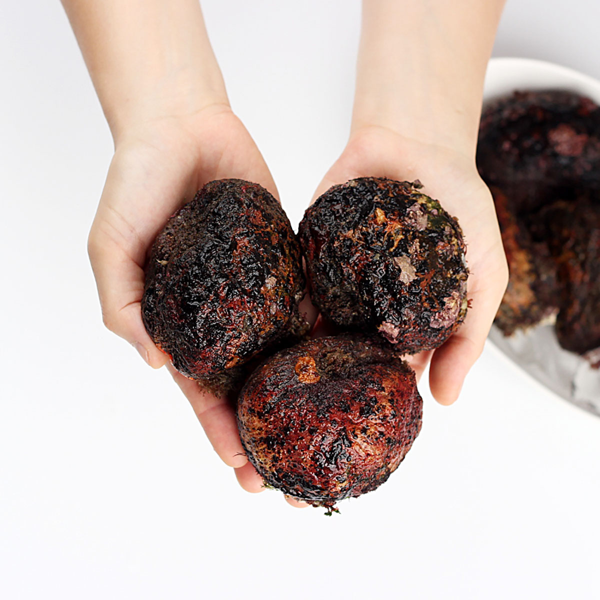 거제도 해녀가 직접 채취한 자연산 돌멍게 1kg