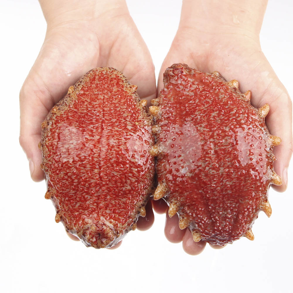 거제도 해녀 자연산 홍해삼 제철 해삼 회 1kg, 500g