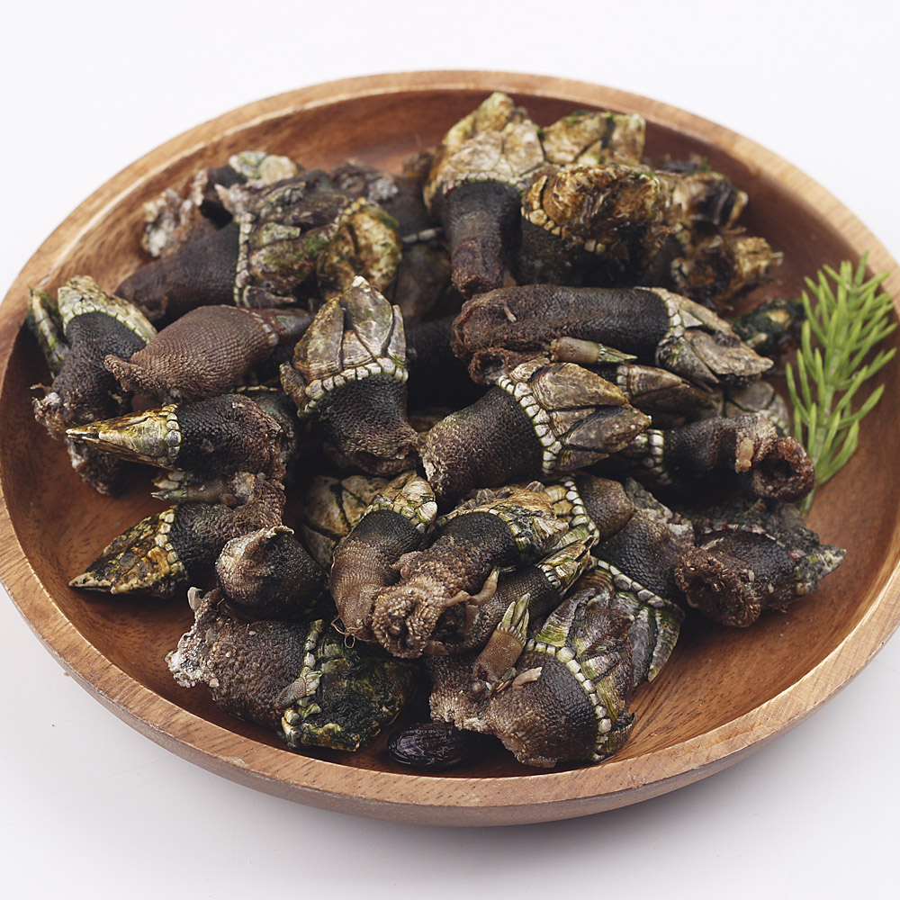 거제도 자연산 거북손 500g 1kg