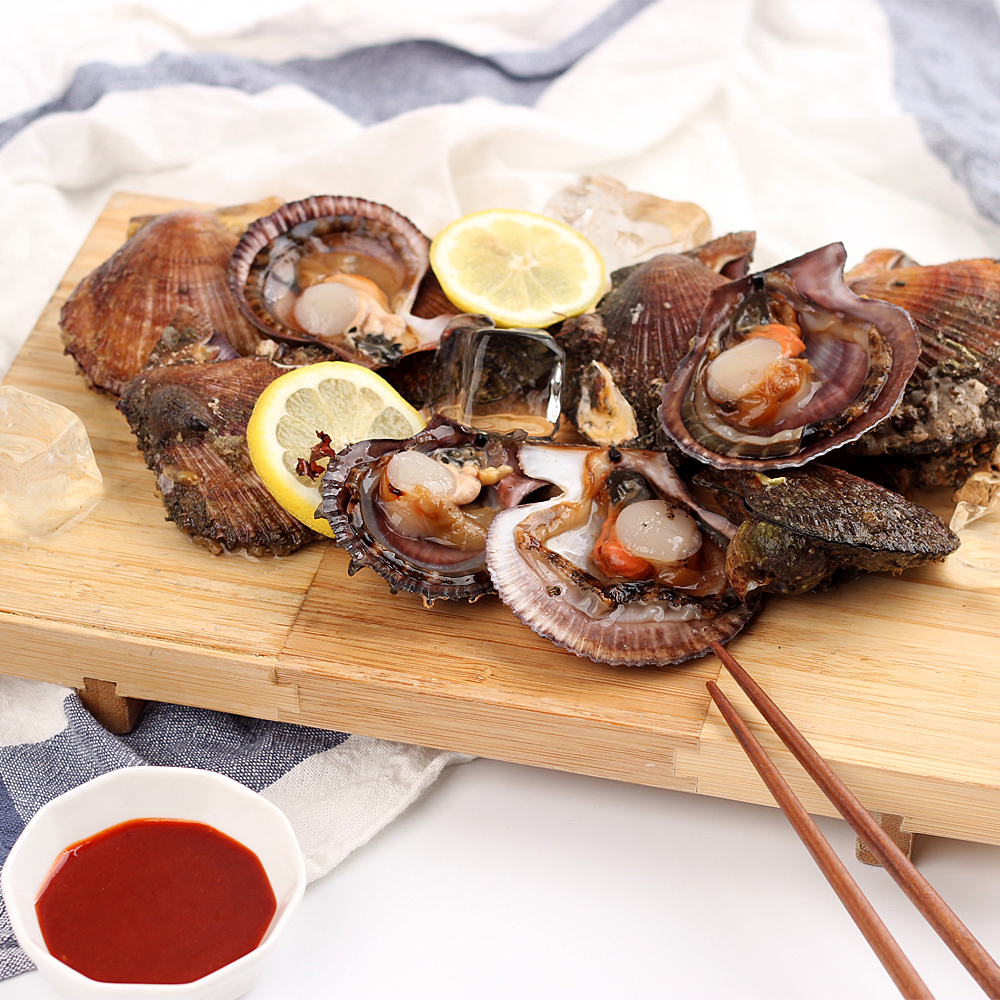 거제도 가리비 자연산 비단가리비 1kg