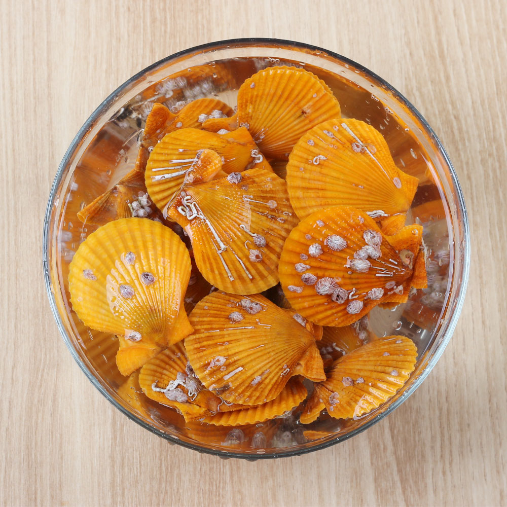 국내산 제철 황금가리비 1kg